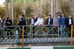 دلیل سرگردانی مسافران در برخی از خطوط اتوبوسرانی

