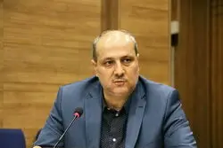 پاداش جنجالی تیم ملی فوتبال ایران زیر ذره‌بین؛ روایت هاشمی از تعهدات دولت و وزارت ورزش