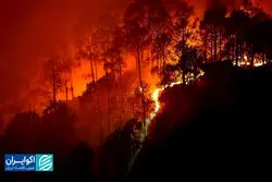  «الیت» در آتش