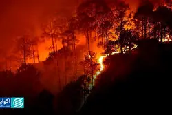  «الیت» در آتش