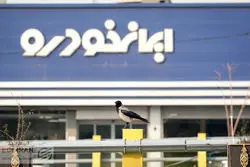 فروش فوری ایران‌خودرو با تحویل یک‌ماهه آغاز شد