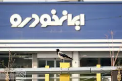 فروش فوری ایران‌خودرو با تحویل یک‌ماهه آغاز شد