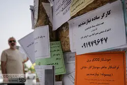 انتشار آمار رسمی از وضعیت بازارکار 1401؛ نرخ بیکاری کاهش یافت