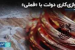 موازی‌کاری دولت با «فملی»