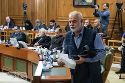  ماجرای درخت‌های گلدانی برای پایان کار!