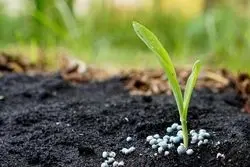 تحلیل بنیادی سهام شلرد/ سودآوری پس از 6 سال انباشت زیان