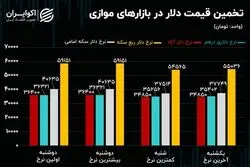 خبری که در بازار ارز پیش خور شد/ ورود سکه بازان بنیادی به بازار 
