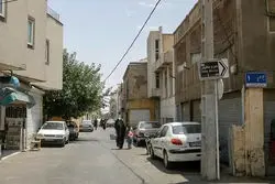 تردد موش‌های غول‌پیکر در این محله قدیمی پایتخت

