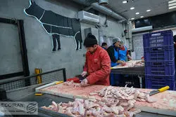 تصویب قیمت‌های جدید؛ نرخ مرغ زنده و منجمد افزایش یافت