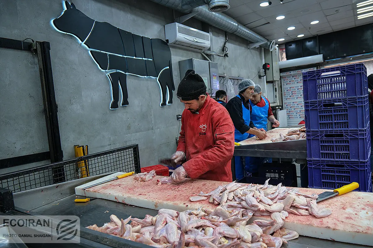 سقف قیمت فروش مرغ اعلام شد