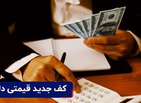 کف قیمتی جدید دلار