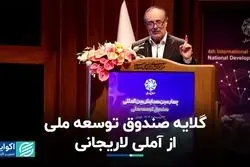 صندوق توسعه ملی: به دولت وام دادیم، می‌خواهیم پس بگیریم