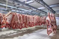 خبر مهم درباره قیمت گوشت/ قیمت هر کیلو گوشت چند؟