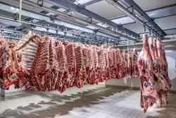 گوشت ارزان شد + قیمت های جدید