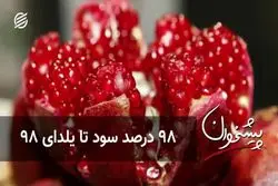 ۹۸ درصد سود تا یلدای ۹۸