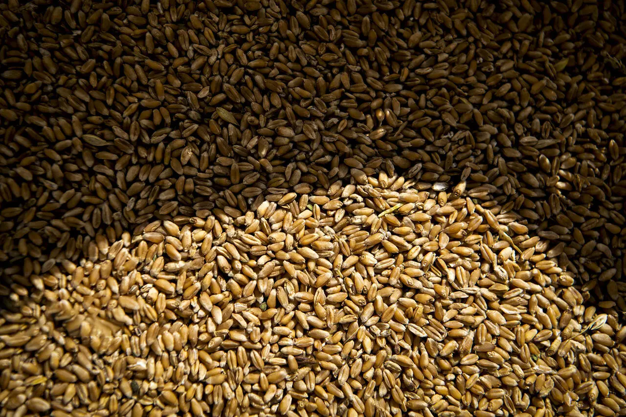 صف تخصیص ارز به بیش از ۹ ماه رسید