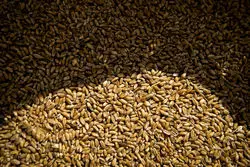 صف تخصیص ارز به بیش از ۹ ماه رسید