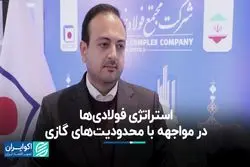 استراتژی فولادی‌ها در مواجهه با محدودیت‌های گازی