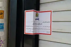 کافه خواهر بابک زنجانی پلمب شد!