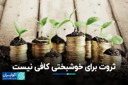 ثروت برای خوشبختی کافی نیست