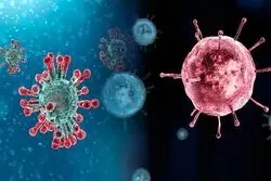 زنگ خطر آنفلوانزا در دو استان؛ بوشهر و خوزستان بالاتر از آستانه هشدار