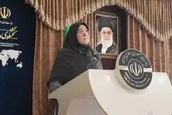 سخنگوی دولت: ارز کالاهای اساسی و دارو تغییری نکرده است