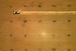 خداحافظی غلات با اوج قیمت