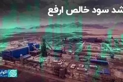 رشد سود خالص نماد «ارفع»