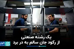 یک رشته صنعتی از رکود جان سالم به در برد
