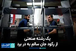 یک رشته صنعتی از رکود جان سالم به در برد