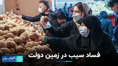 فساد سیب در زمین دولت  