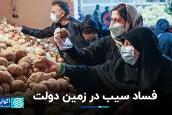 فساد سیب در زمین دولت  