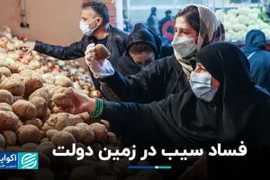 فساد سیب در زمین دولت  