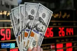 افزایش عامدانه نرخ ارز توسط سیاست‌گذاران؟/ روایت رحمانی از افزایش نرخ دلار در سال99 و پریشانی همتی/ هر کاری می‌توانست کرد