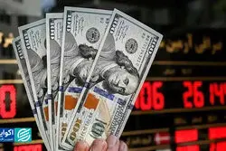 افزایش عامدانه نرخ ارز توسط سیاست‌گذاران؟/ روایت رحمانی از افزایش نرخ دلار در سال99 و پریشانی همتی/ هر کاری می‌توانست کرد