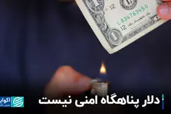 چرا دلار «پناهگاه امن» برای حفظ سرمایه نیست؟