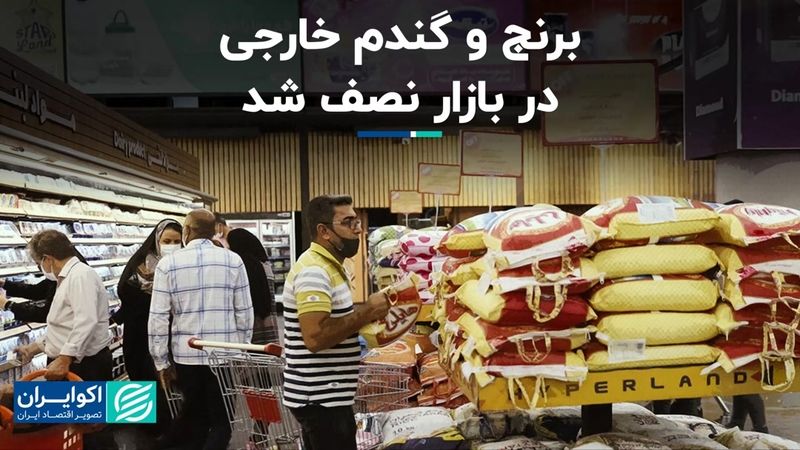 برنج و گندم خارجی در بازار نصف شد 