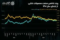 چشم‌انداز صنعت محصولات غذایی در سال 1403/ عقب ماندگی 84 درصدی غذایی‌ها در سال گذشته!