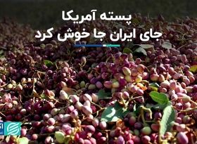 پسته آمریکایی رقیب اصلی پسته ایرانی در بازارهای جهانی