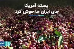 پسته آمریکایی رقیب اصلی پسته ایرانی در بازارهای جهانی