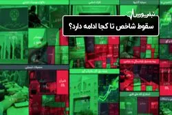 سقوط شاخص تا کجا ادامه دارد ؟