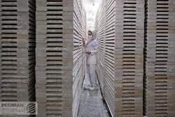 کدام مشاغل برای زنان جذاب‌ترند؟