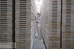 کدام مشاغل برای زنان جذاب‌ترند؟