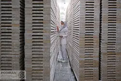 کدام مشاغل برای زنان جذاب‌ترند؟