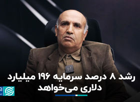 رشد ٨ درصد سرمایه ١٩۶ میلیارد دلاری می‌خواهد