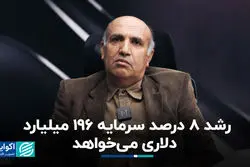 رشد ٨ درصد سرمایه ١٩۶ میلیارد دلاری می‌خواهد