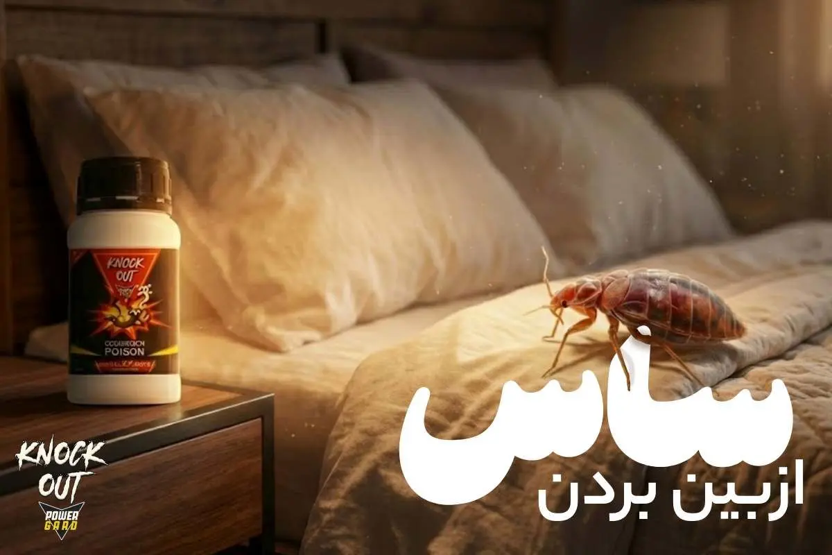 ساس چیست و چگونه از بین میرود؟