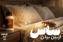 ساس چیست و چگونه از بین میرود؟