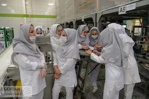 نتیجه یک قانون حمایتی زنان در ایران؛ فقط از دور زیباست