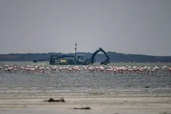 توقف پروژه پتروشیمی میانکاله؛ بازپس‌گیری زمین طبق دستور رئیس‌جمهوری